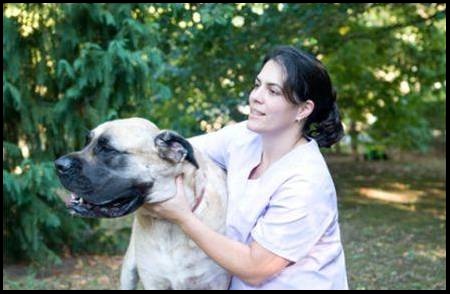 mobile veterinarian 