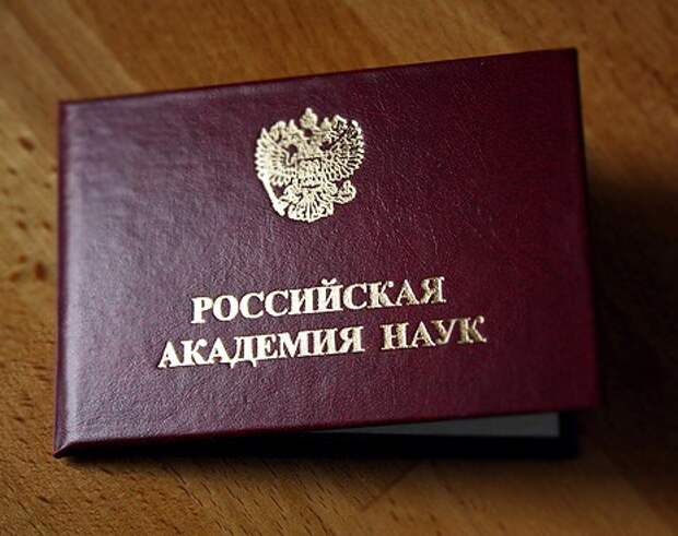 Зачем чиновникам становиться академиками