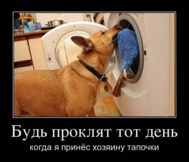 Прикольные демотиваторы для улыбок (11 фото)