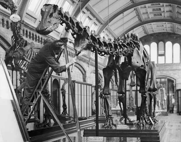 Этот безумный, яркий Лондон на черно-белых фотографиях 1930-х годов