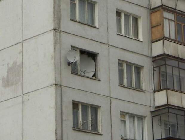 А из нашего окна тётя голая видна! Чего только не увидишь, выглянув в окно утром