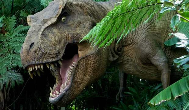 Новый вид монгольских динозавров назвали в честь россиянки