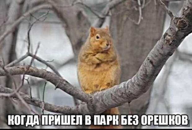 Картинки с надписями,истории и анекдоты