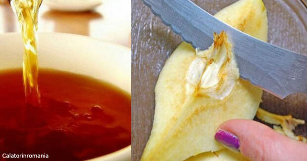 Чай из айвы чистит печень и желудок на клеточном уровне! Вот как его сделать