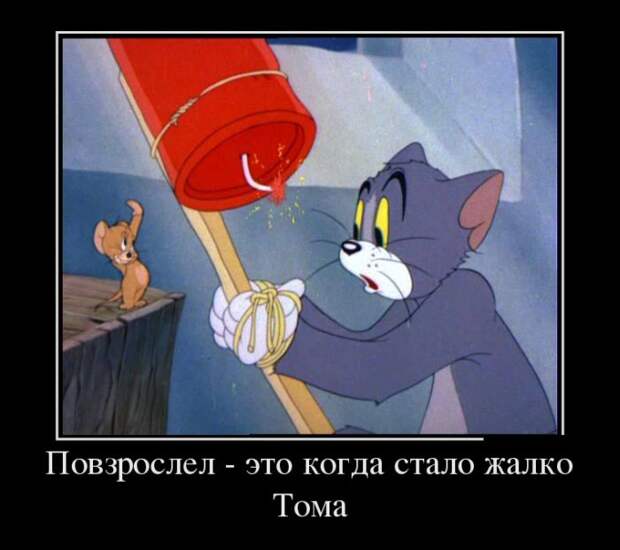 Демотиваторы (30 фото) Демотиваторы (30 фото)