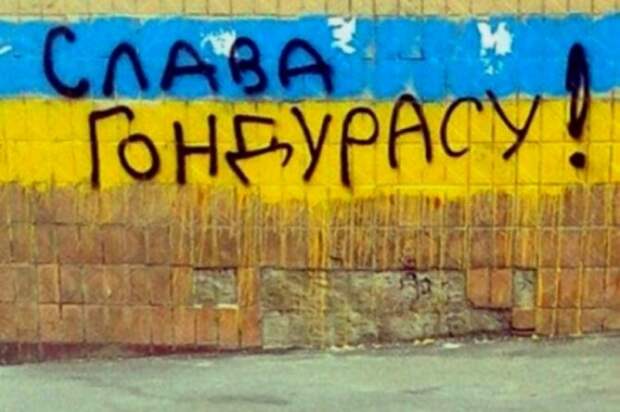 Украинский Гондурас потерпел очередное дипломатическое поражение(ВИДЕО)