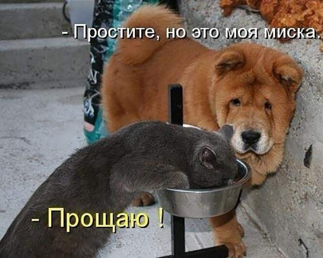 Прощаю Прощаю