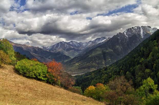 Северный кавказ Фото: pixabay.com