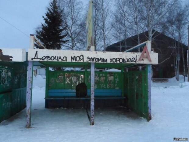 40 надписей на асфальте, которые бескомпромиссны, как жизнь в России