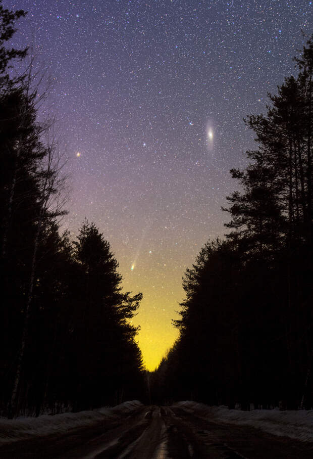 Комета Понса-Брукса, галактика Андромеды и дремучий-дремучий лес
