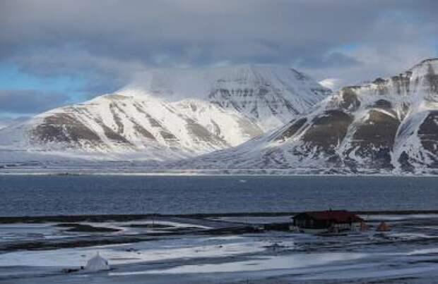 Бесплатная доставка: ученые выяснили, откуда появляется лес на островах Арктики