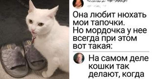 9fa2c05e7b9b9f50308d38284e.jpg