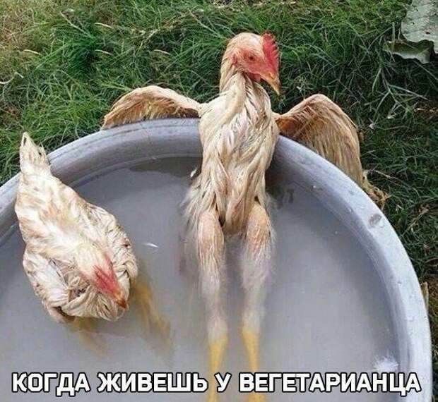Подборка фотоприколов
