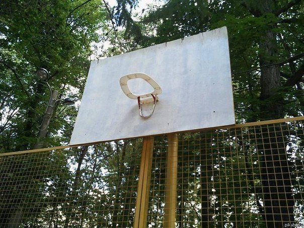Наша Россия