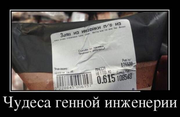 Демотиваторы (30 фото)