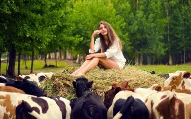 Image result for "Просто однажды я поняла, что стою десяти коров..."