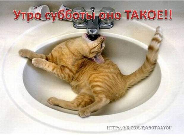 Всяко - разно 12 )))