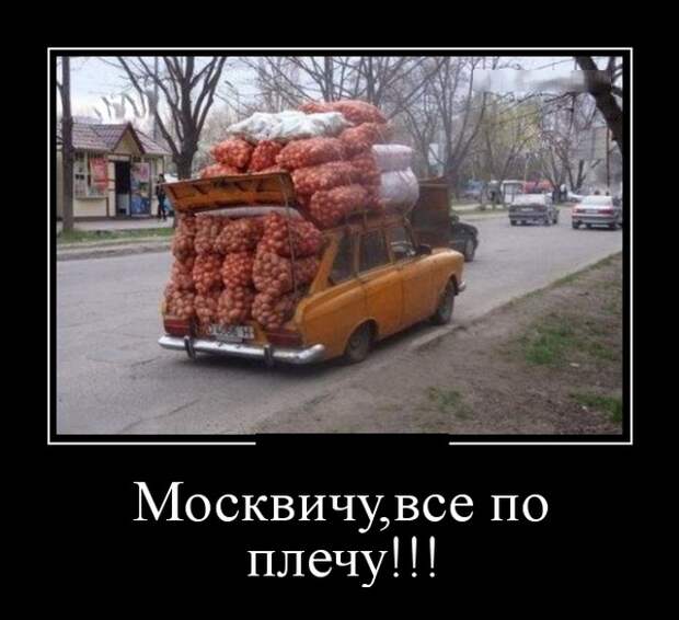www.vsyako.net