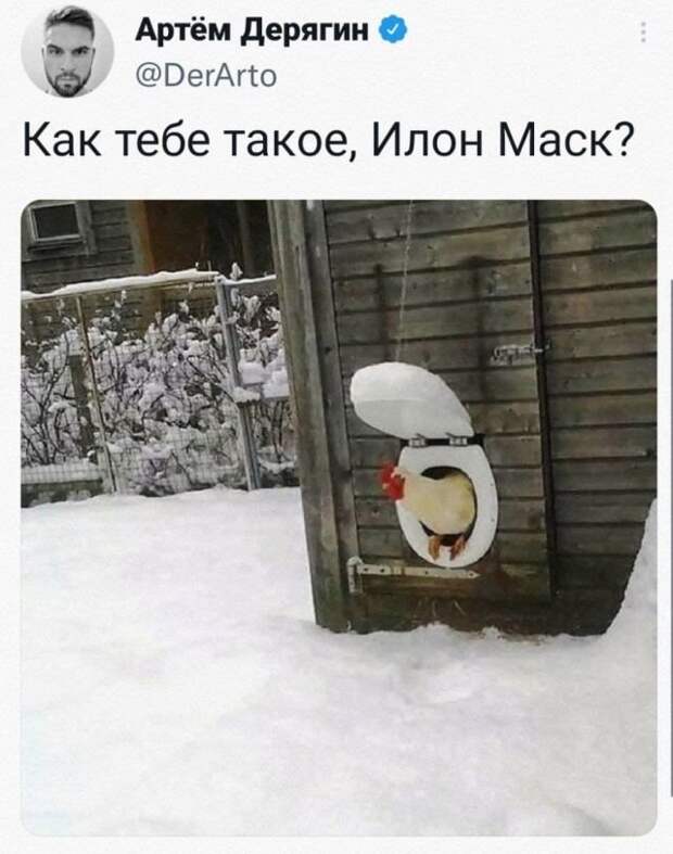 Подборка забавных твитов обо всем