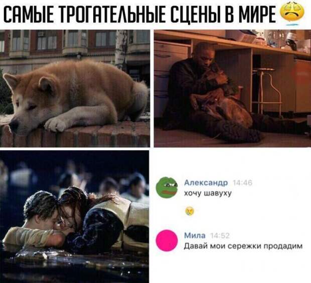 Прикольные картинки Прикольные картинки