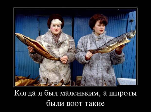 Забавные демотиваторы для веселья (11 фото) Забавные демотиваторы для веселья (11 фото)