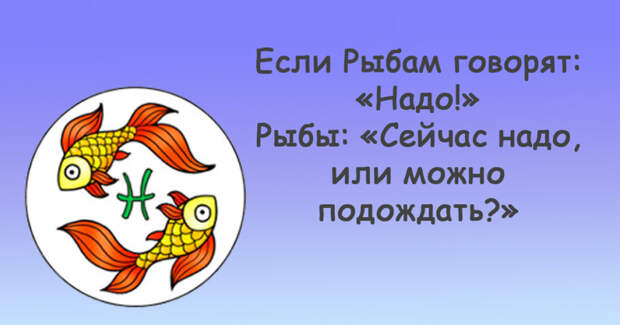 Шуточный гороскоп: «Надо!». Что произойдёт, если представителям разных знаков зодиака сказать: «Надо!». Читайте и улыбайтесь!