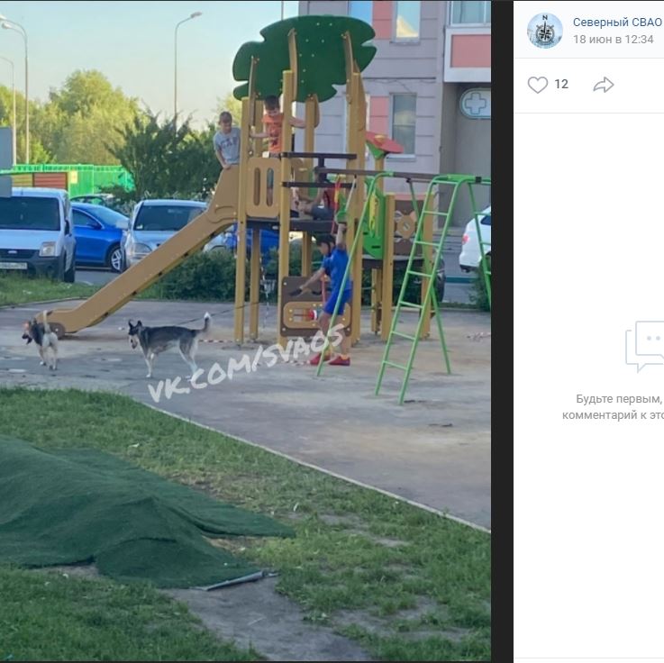 Девочка с двумя собаками во дворе в Северном обеспокоила соседей по району