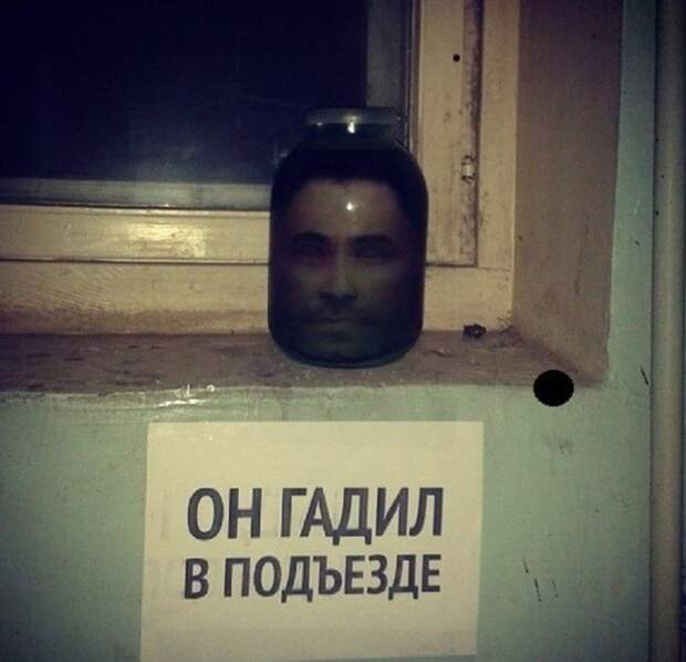 Возвращаясь домой, вы можете встретить их - королей и королев подъездов Возвращаясь домой, вы можете встретить их - королей и королев подъездов