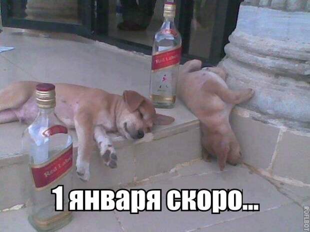 4uGlMRtCubo