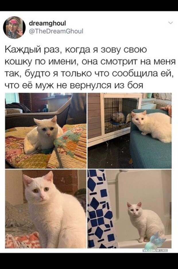 картиночки