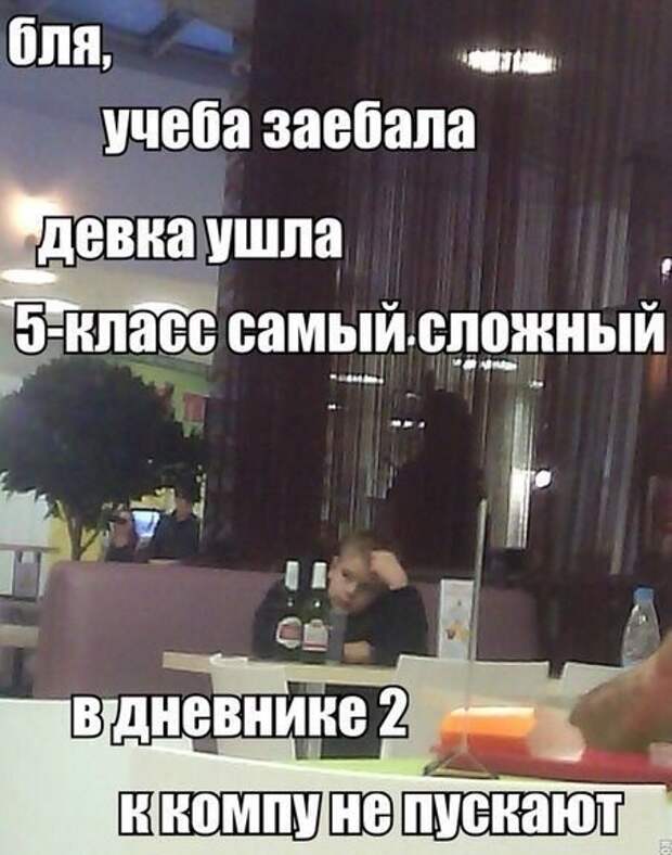 Смешные картинки с надписями прикол, юмор