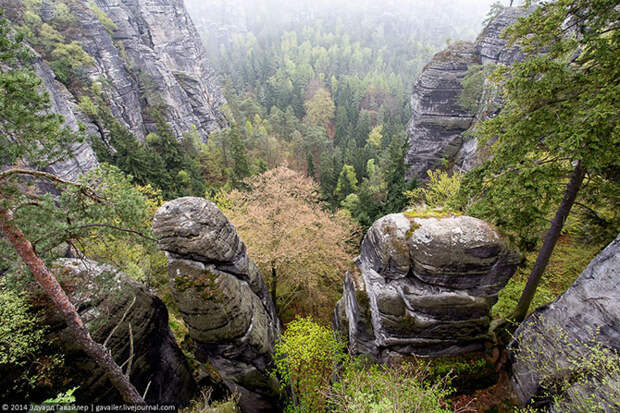 Саксонская Швейцария