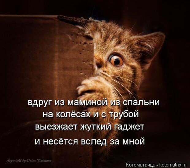Лучшие котоматрицы недели (50 фото) Лучшие котоматрицы недели (50 фото)
