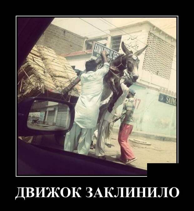www.vsyako.net