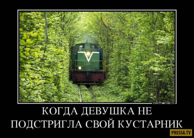 Демотиваторы (42 фото)