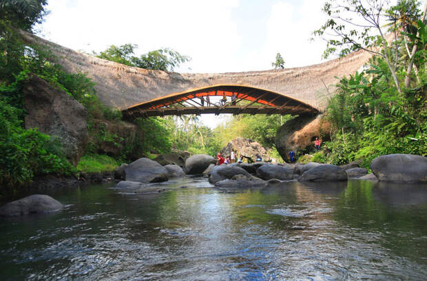 Бамбук — очень прочный материал, поэтому его часто используют для строительства мостов