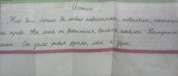 Забавные надписи и объявления Забавные надписи и объявления
