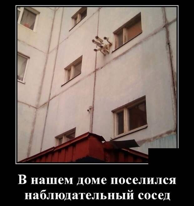 Демотиваторы №2194 (20 фото)