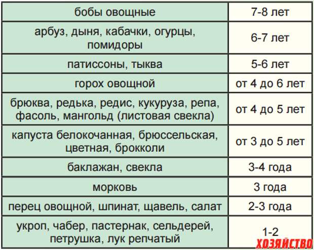 Срок хранения арбуза. График дачных посевов. Через сколько дней всходит салат после посева.