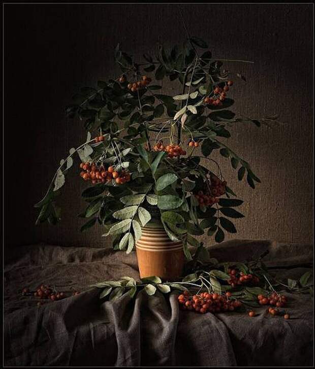 Классические натюрморты (25 работ)