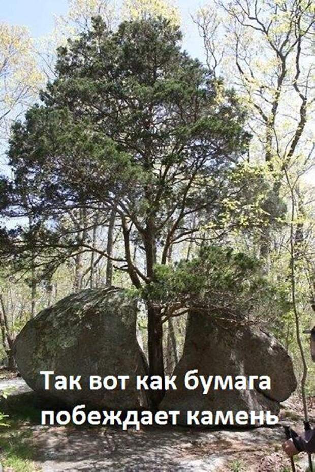 1-images-8883.jpg