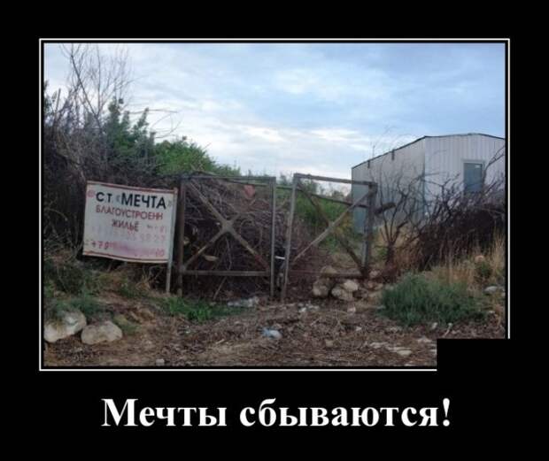 www.vsyako.net