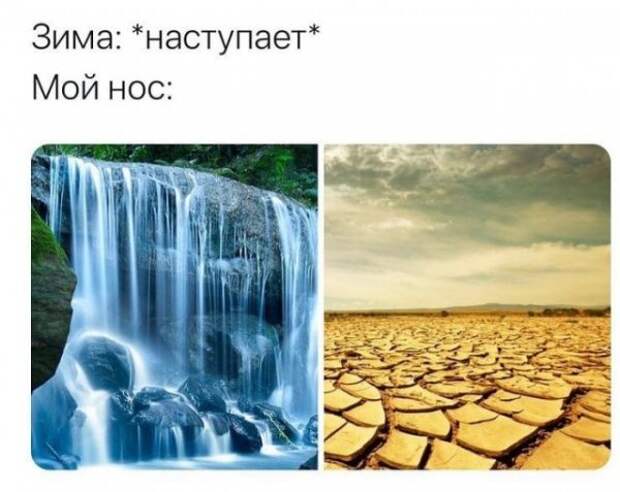 seti-kretinizmy-kartinki-smeshnye-kartinki-fotoprikoly