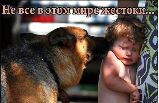 Эмоциональные снимки  конкурс, лучшие, фото, фотоподборка