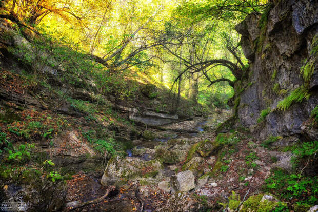 Вслед за птицами, или Осенний Кавказ. Неизведанная Осетия. Стражи Кавказских гор и алмазные струи водопадов