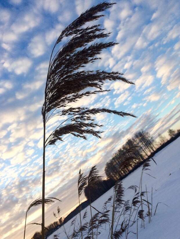 Плохого фотографа видно по заваленному горизонту горизонт, горизонт завален, фотограф, фотографы