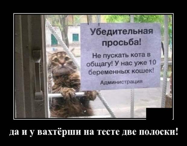 Демотиваторы (20 фото)