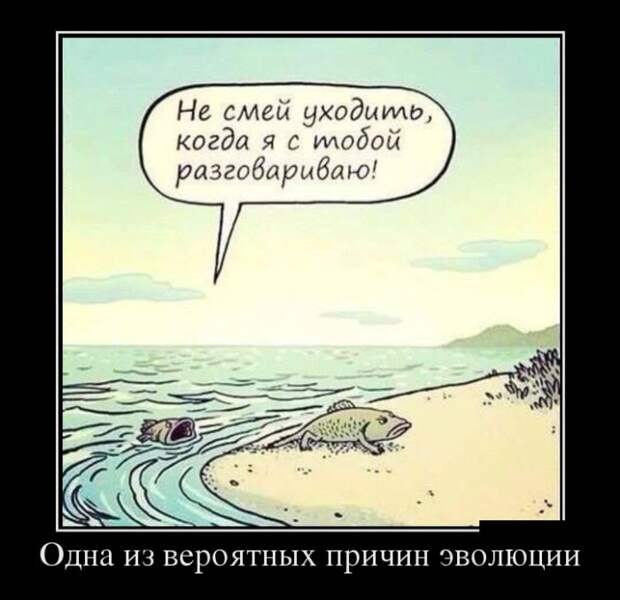 Забавные демотиваторы на выходные (11 фото) Забавные демотиваторы на выходные (11 фото)