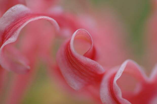 Есть только миг между прошлым и будущем... Есть только миг между прошлым и будущем...