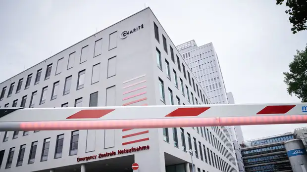 После выводов ОЗХО: в Германии назвали условие для санкций против России из-за ситуации с Навальным